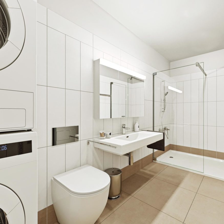 Im Lingg - Renovation