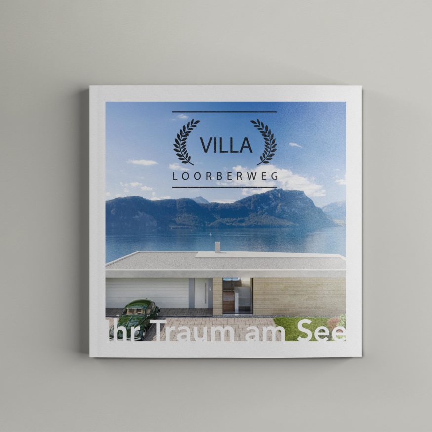 Verkaufsdoku Neubau Villa Weggis